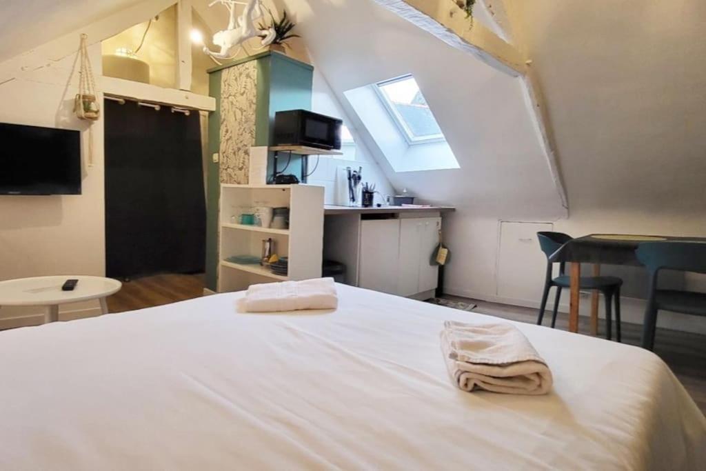 La Cabane - Petit Studio Mansarde - Plage 50M - Rue Gratuite سان مالو المظهر الخارجي الصورة