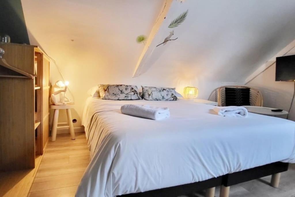 La Cabane - Petit Studio Mansarde - Plage 50M - Rue Gratuite سان مالو المظهر الخارجي الصورة